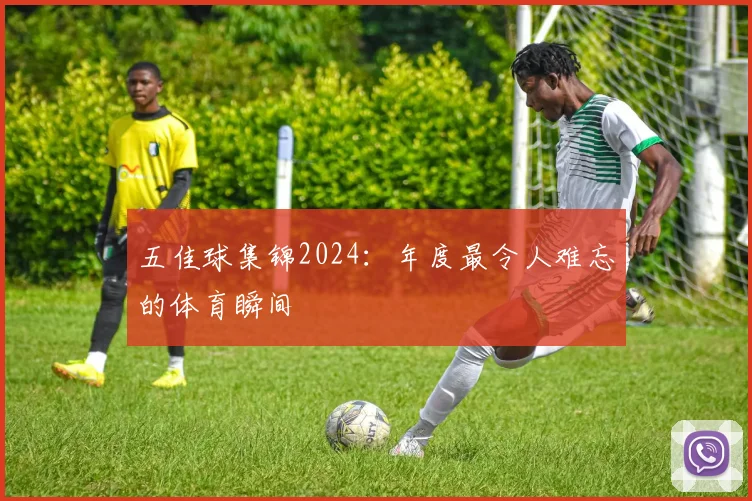 五佳球集锦2024:年度最令人难忘的体育瞬间