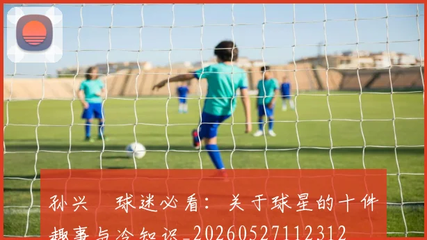 孙兴慜球迷必看:关于球星的十件趣事与冷知识_20260527112312