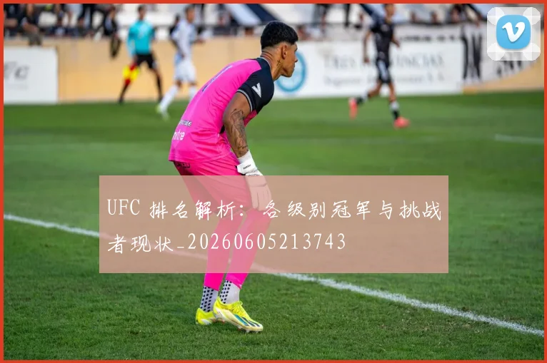 UFC 排名解析：各级别冠军与挑战者现状_20260605213743